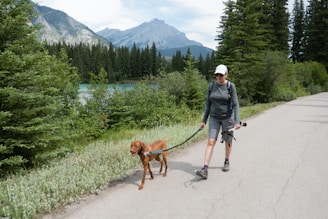 A person wearing hiking clothes and a cap is walking a brown dog on a paved path. The path is surrounded by green shrubs and pine trees. In the background, there is a scenic view of mountains under a partly cloudy sky.