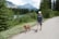 Happy dog and owner enjoying a scenic outdoor trail together.