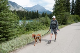 A person wearing hiking clothes and a cap is walking a brown dog on a paved path. The path is surrounded by green shrubs and pine trees. In the background, there is a scenic view of mountains under a partly cloudy sky.