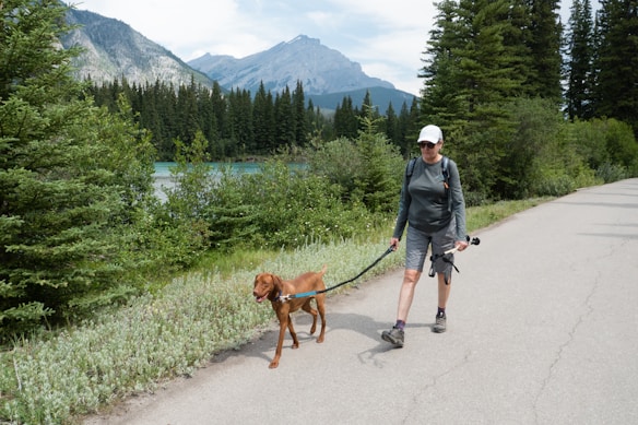 A person wearing hiking clothes and a cap is walking a brown dog on a paved path. The path is surrounded by green shrubs and pine trees. In the background, there is a scenic view of mountains under a partly cloudy sky.