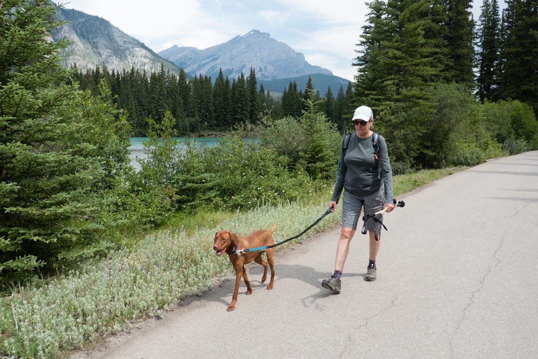 Dog hiking photo spot Banff Canada