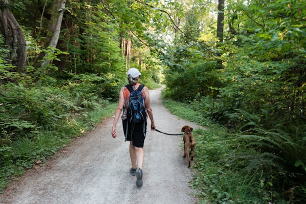 on-leash dog walking adventure.