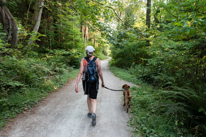 Dog trainer working with a dog outdoors