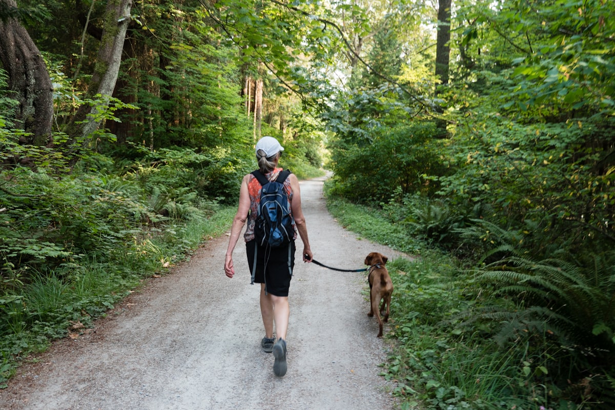 Two people walking dogs on a trail