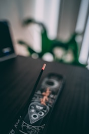 A single burning incense stick is placed on a decorative incense holder with intricate patterns, set against a blurred background featuring a plant.