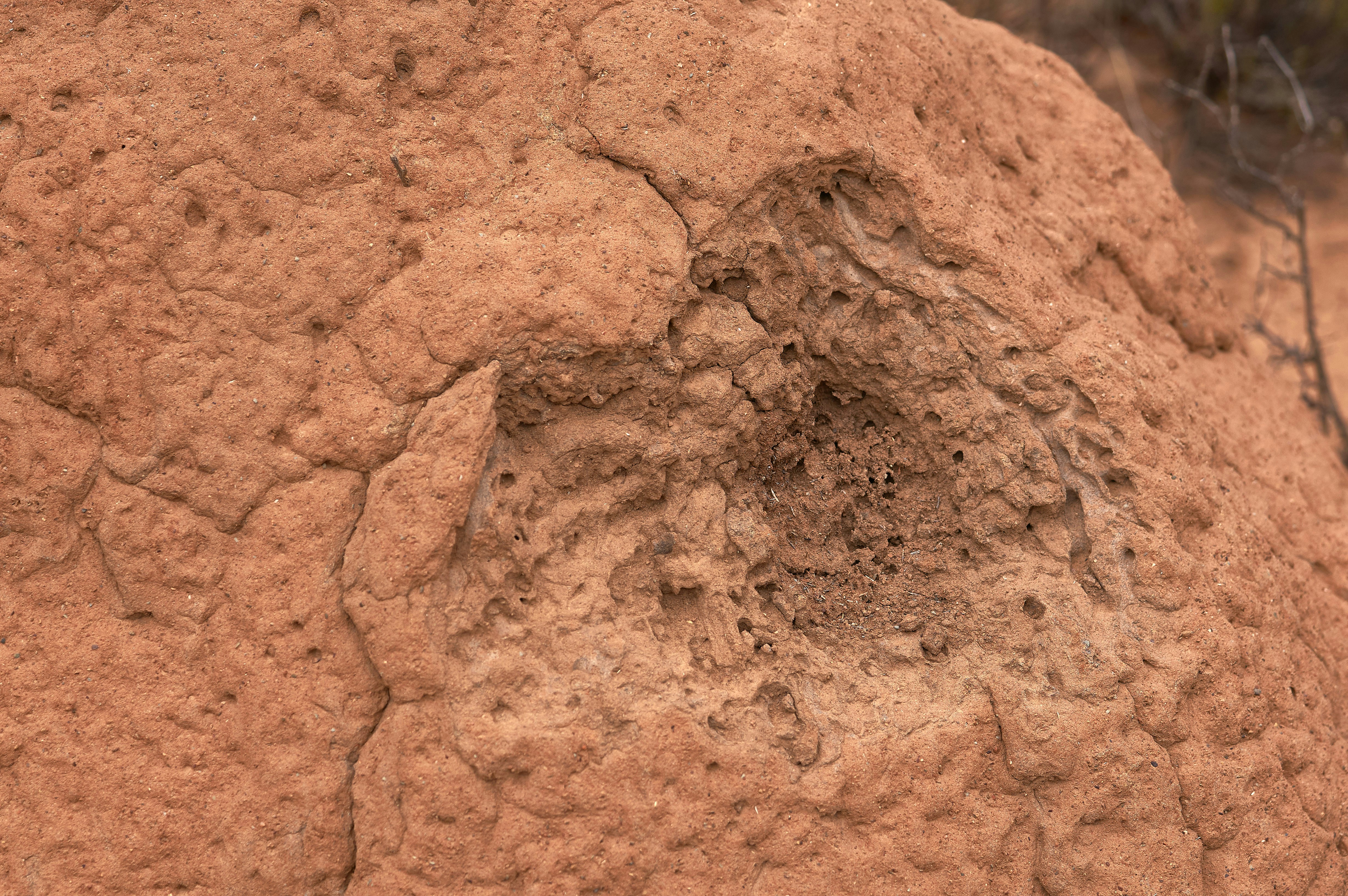 Photo by wolfgang_hasselmann