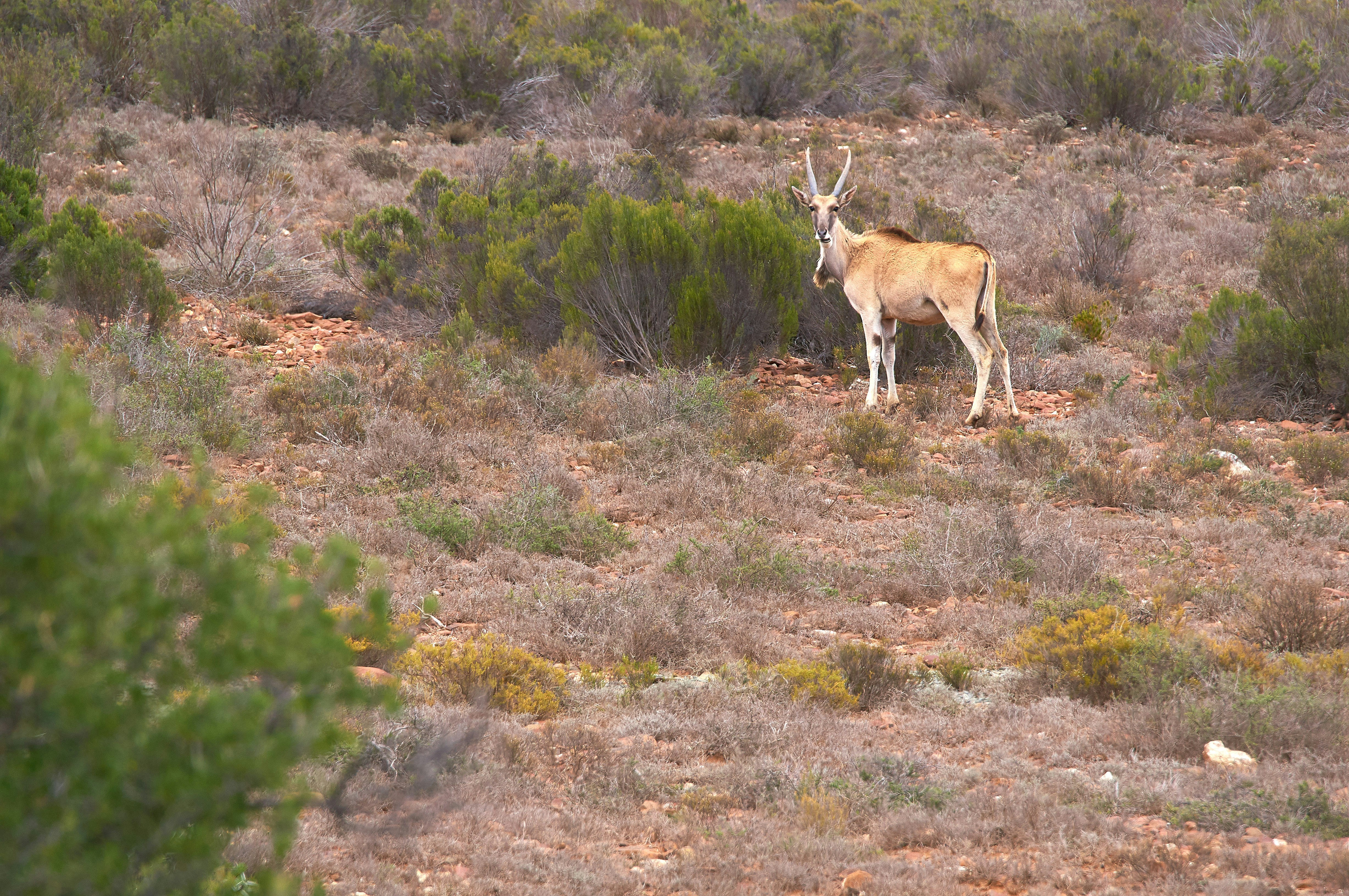 Photo by wolfgang_hasselmann