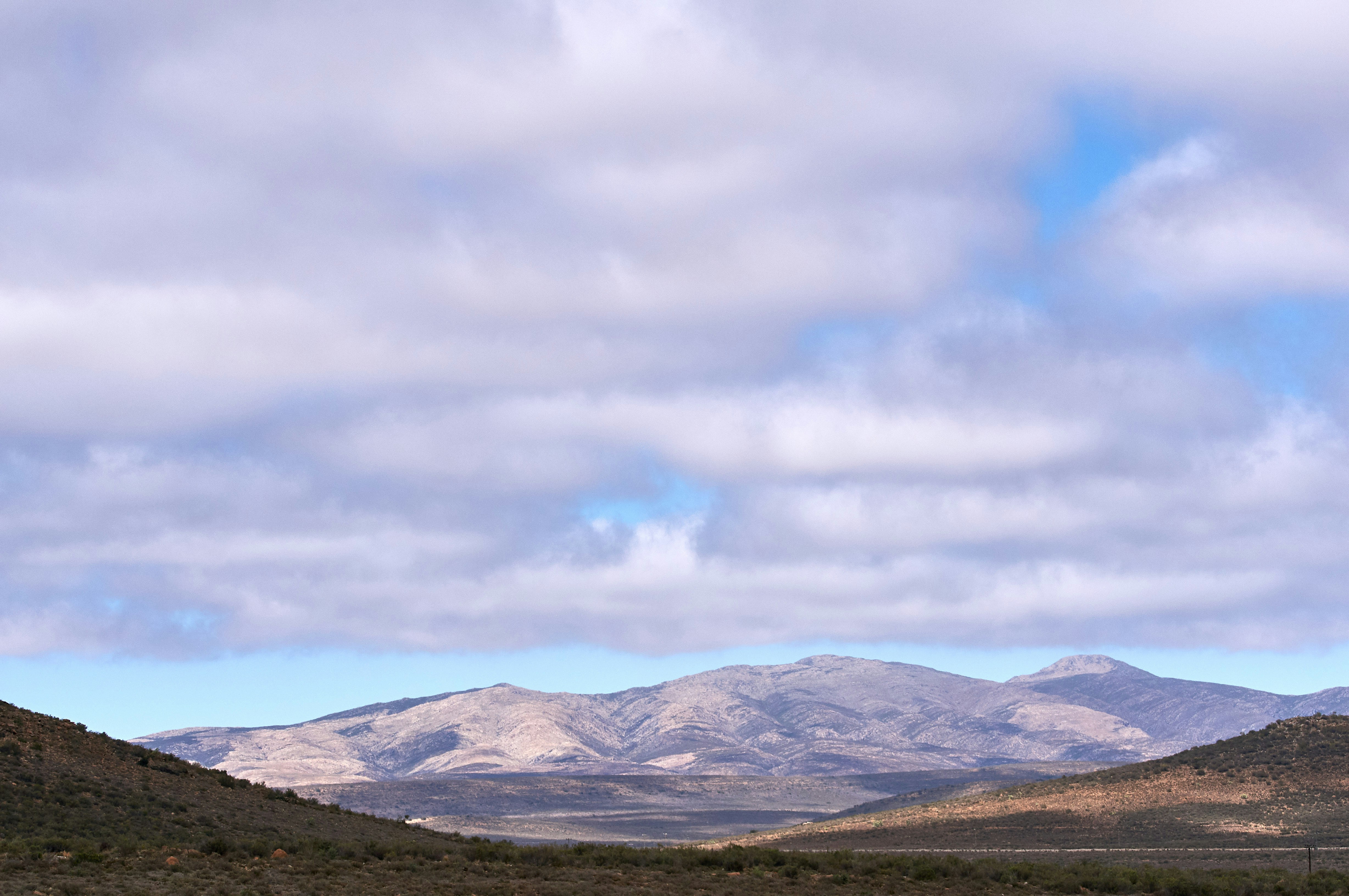 Photo by wolfgang_hasselmann