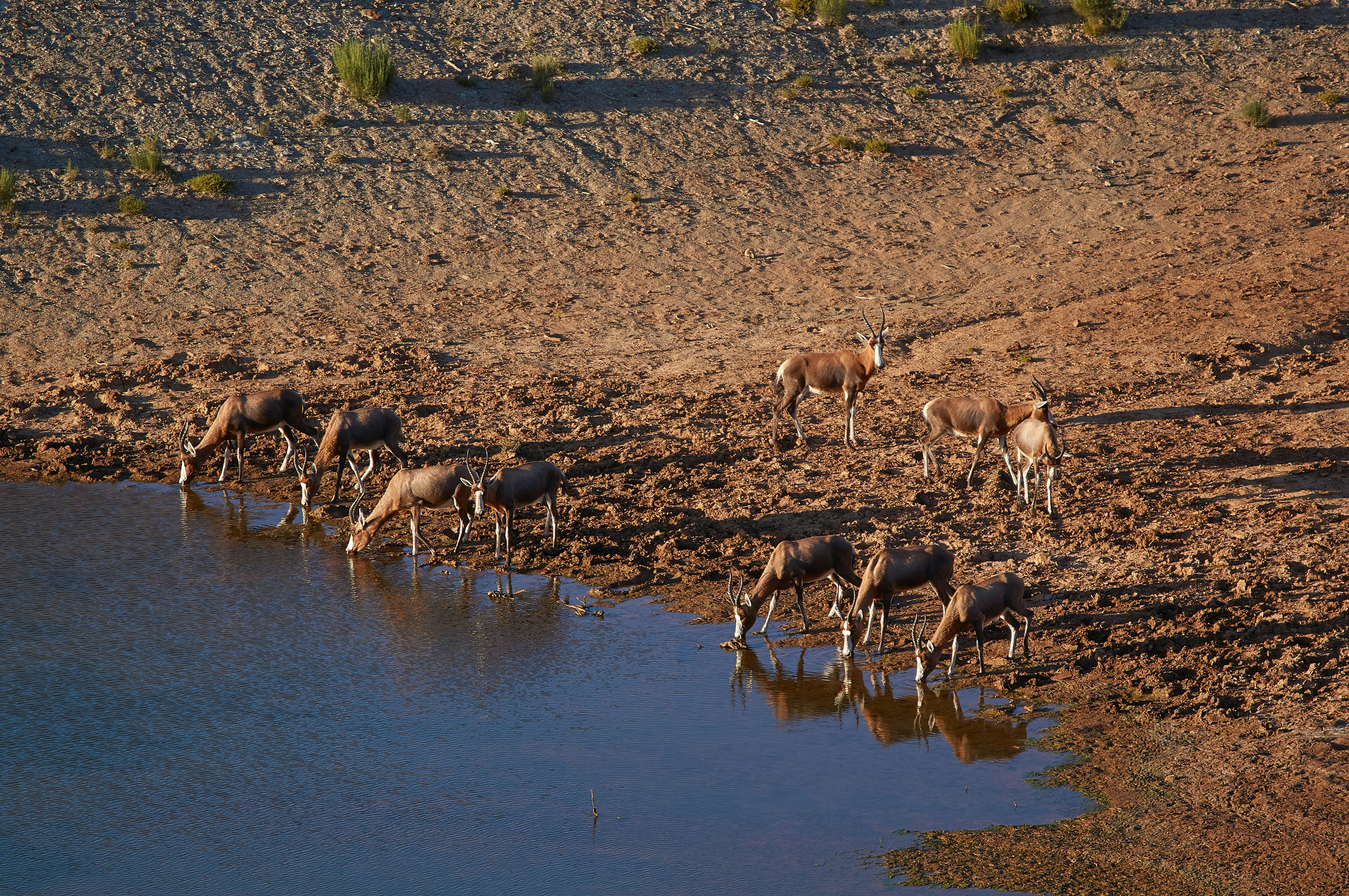 Photo by wolfgang_hasselmann