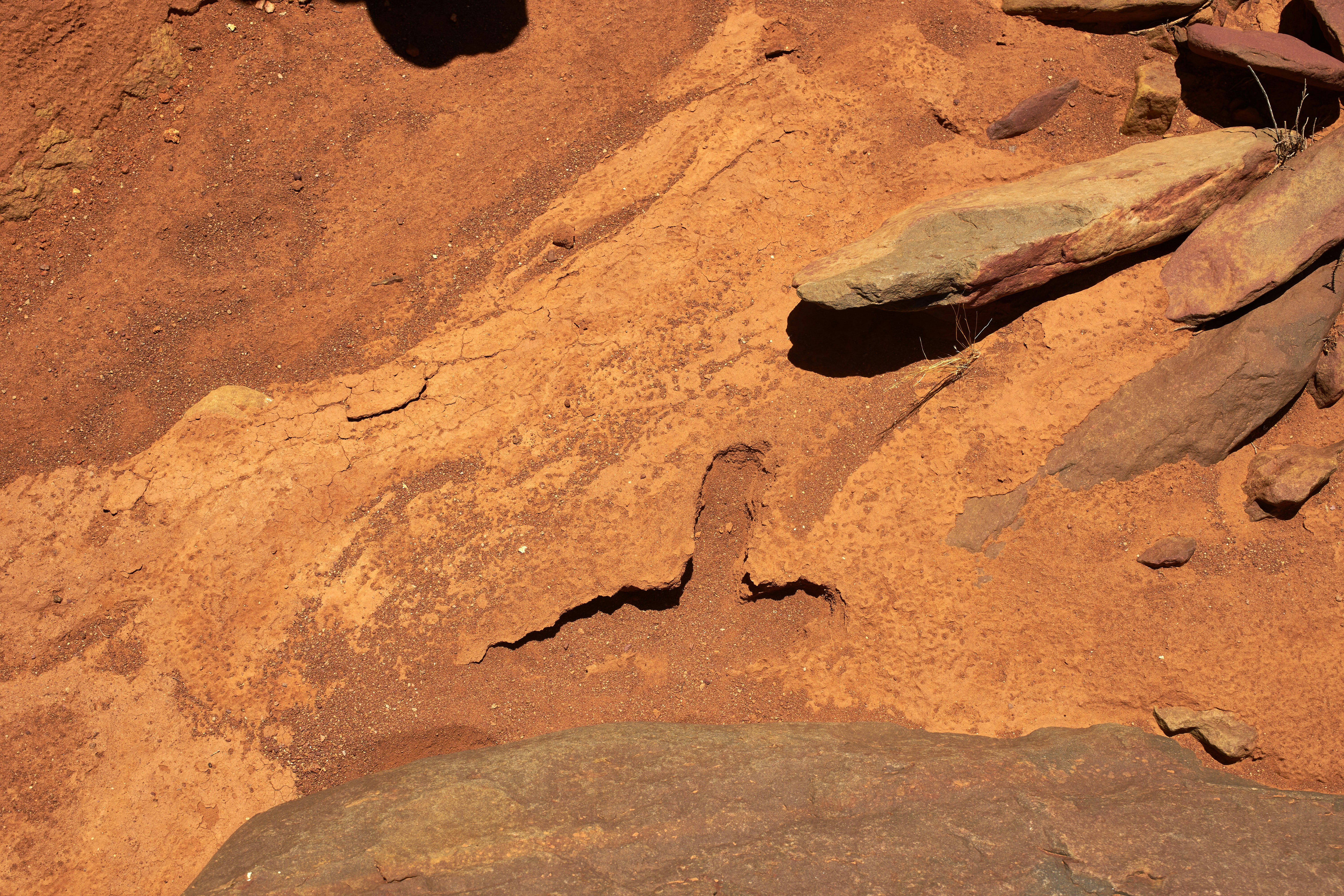 Photo by wolfgang_hasselmann