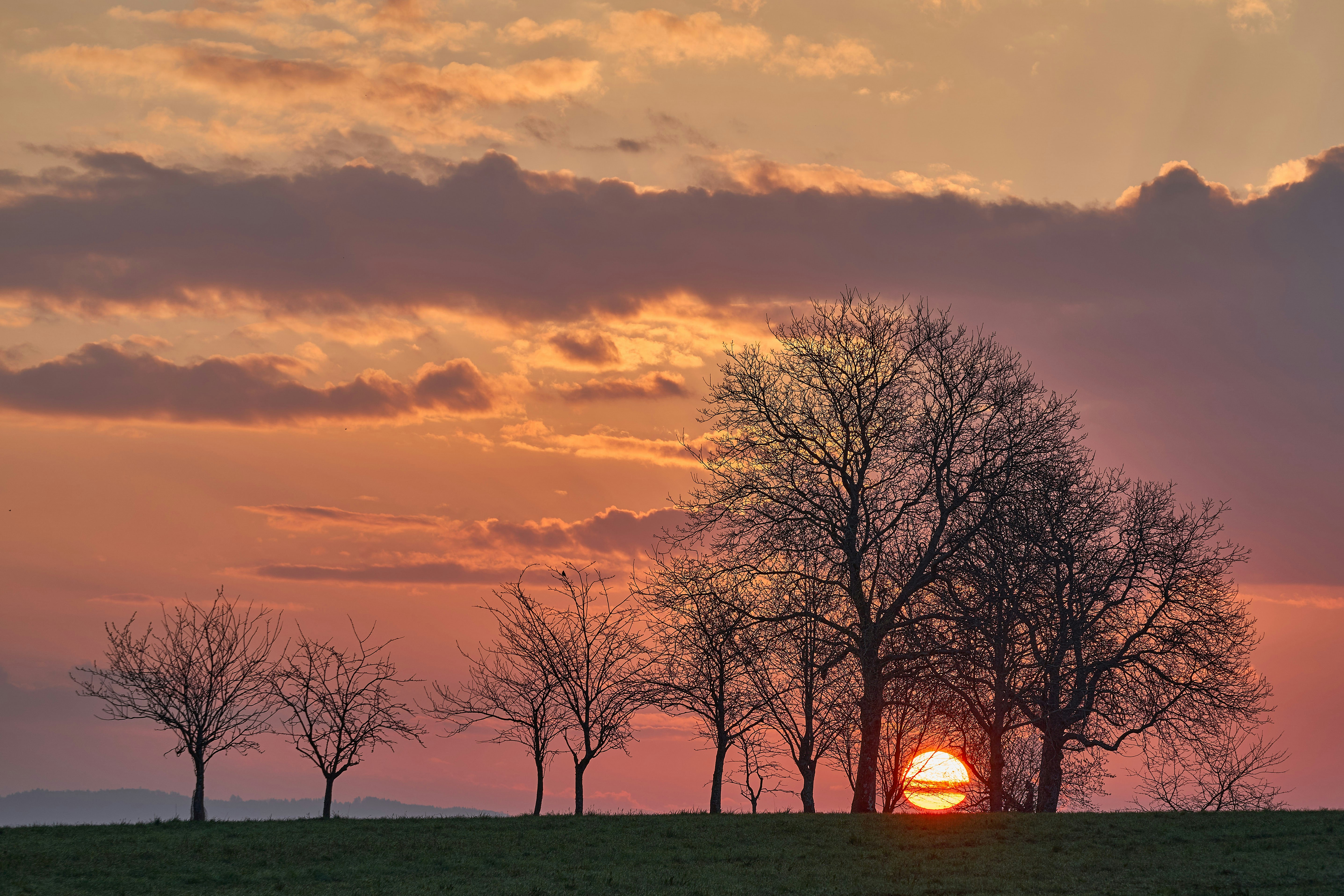 Photo by wolfgang_hasselmann