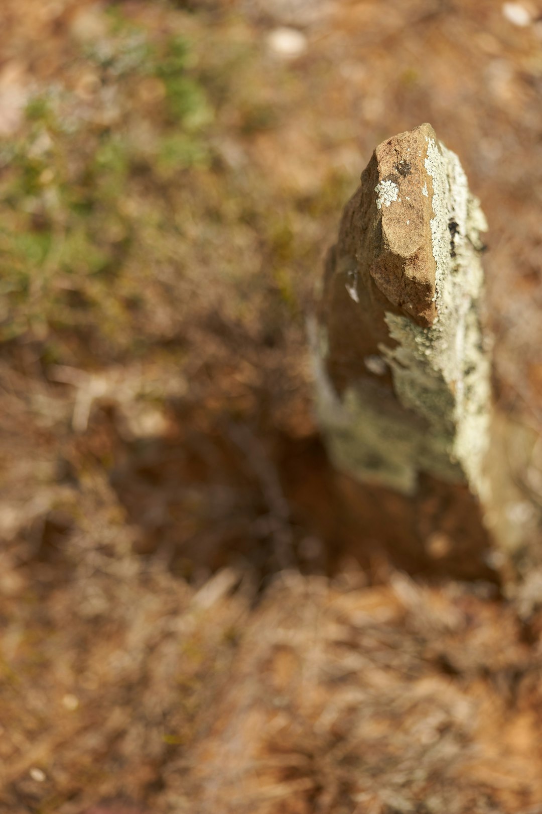 brown and white stone in close up photography during daytime