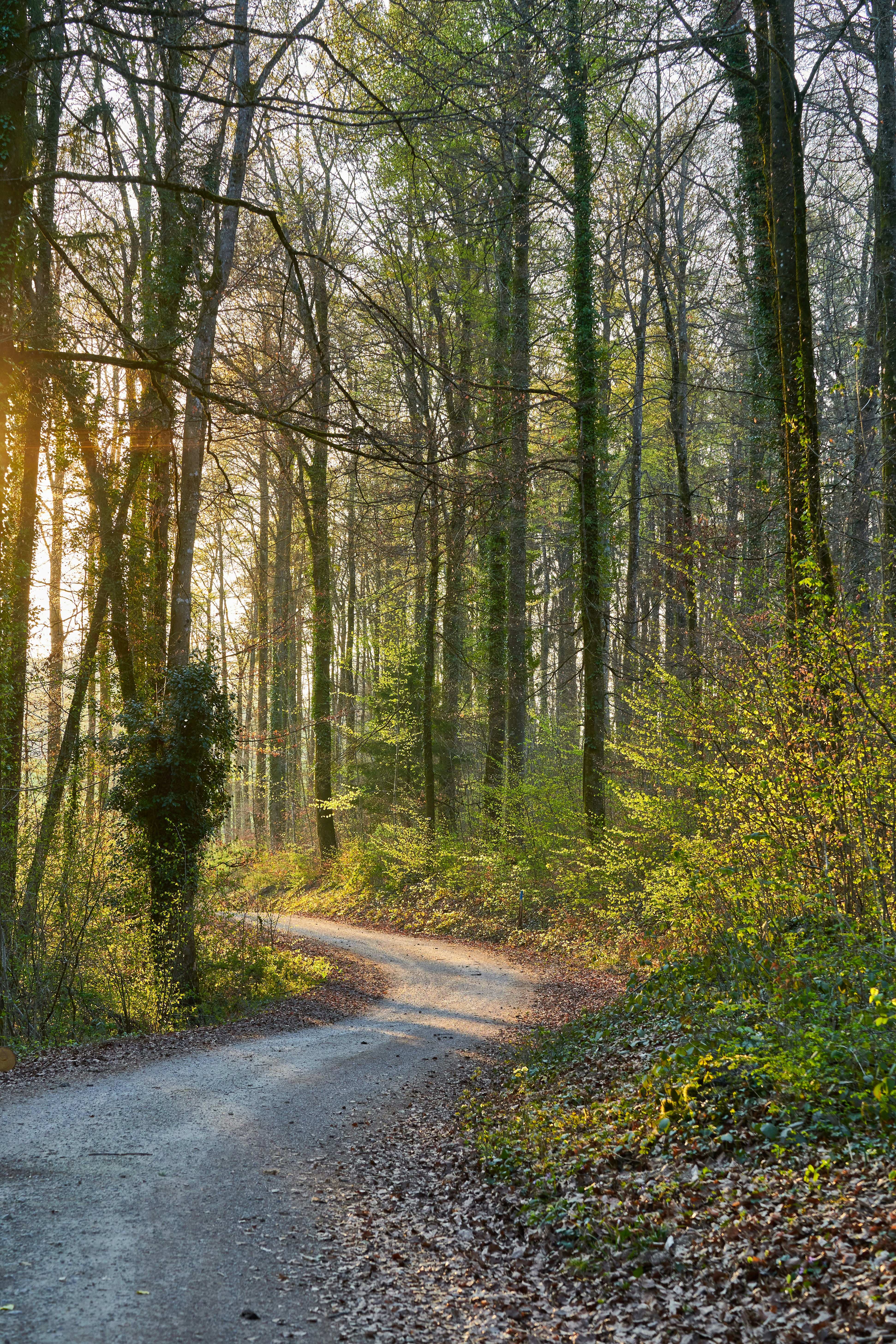 Photo by wolfgang_hasselmann