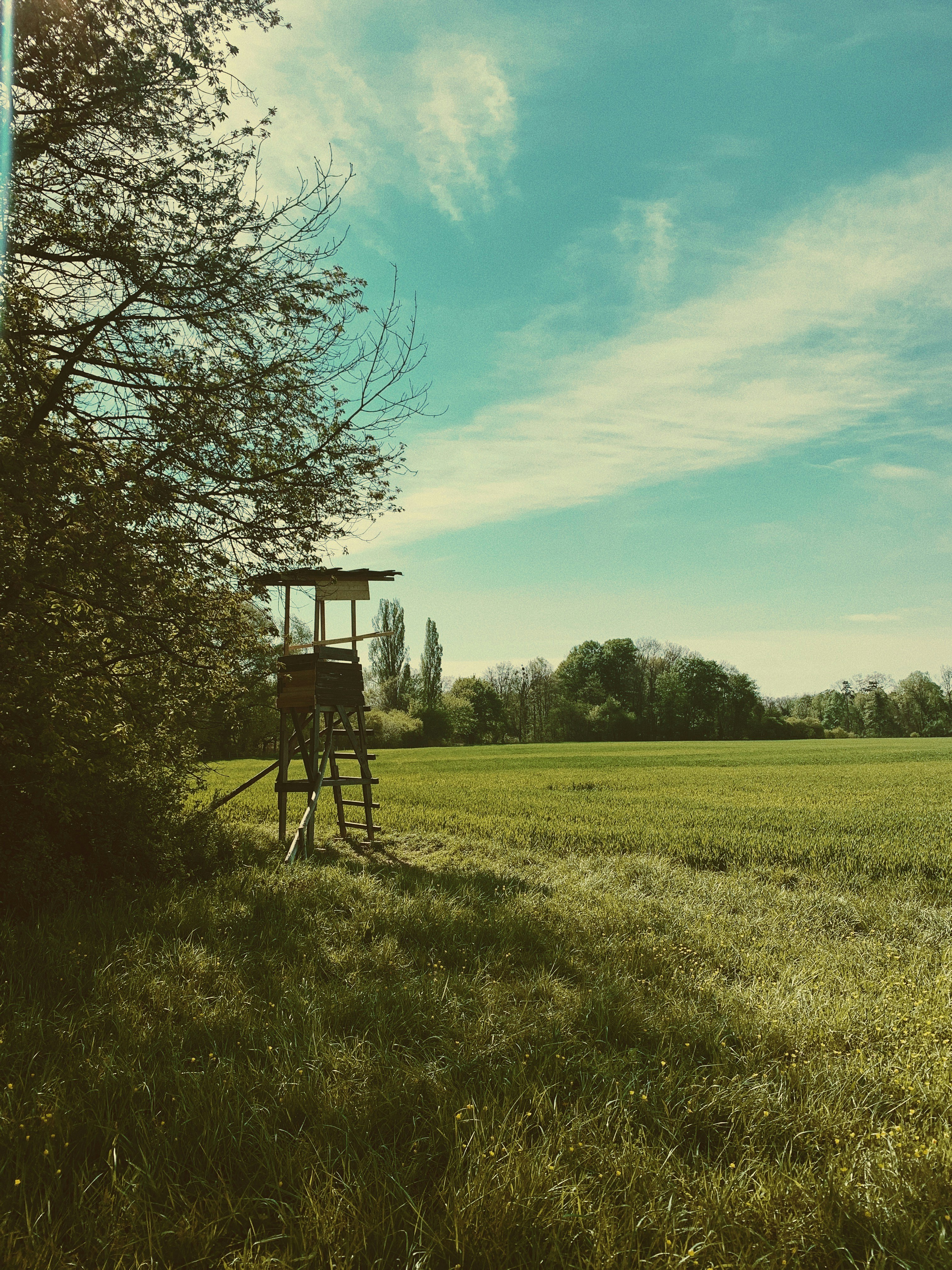Photo by zsvm