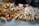 An assortment of pastries and cakes is displayed on platters, featuring a variety of treats topped with fresh berries, icing, and cream. The arrangement includes cupcakes, loaf cakes, and tarts, with labels indicating different flavors.
