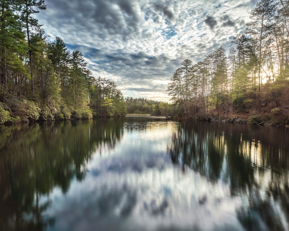 árboles verdes al lado del río bajo nubes blancas y cielo azul durante el día