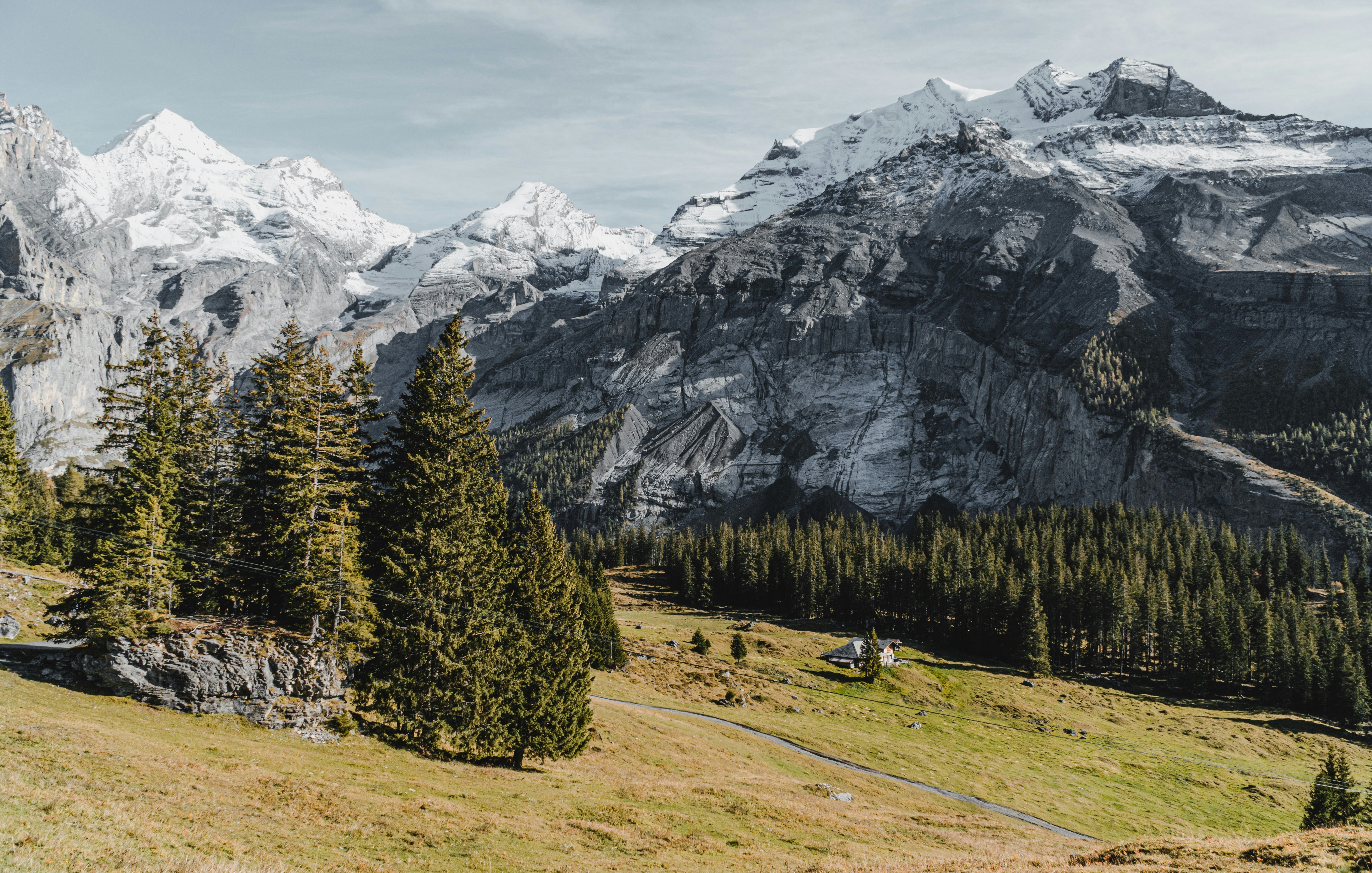 Green pine trees near snow covered mountain during daytime photo – Free ...