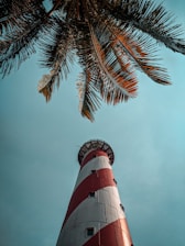 white and red lighthouse near palm tree