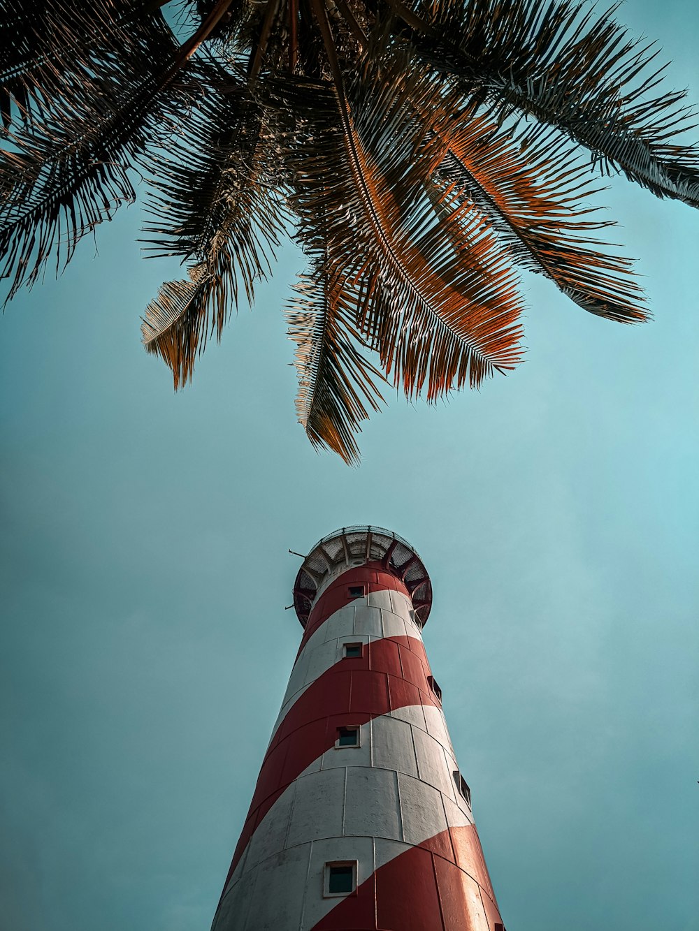 Faro blanco y rojo cerca de la palmera