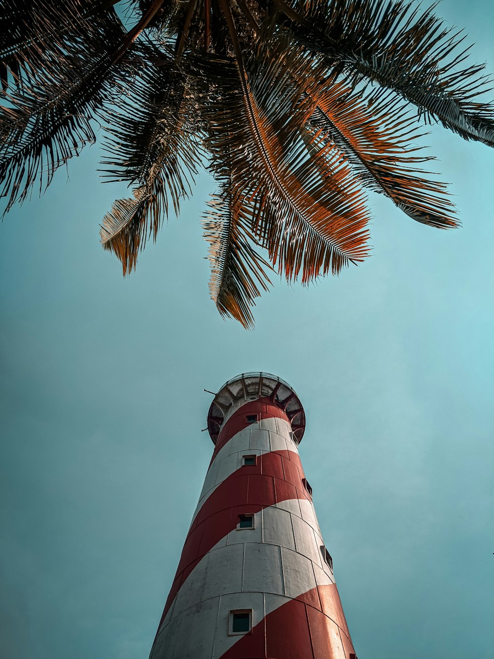 white and red lighthouse near palm tree