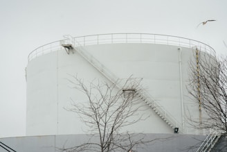 A large, white industrial storage tank is situated outdoors, surrounded by bare tree branches. A metal staircase is attached to the tank, leading to the top. Overhead, a single bird is flying in the overcast sky.