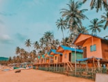 blue and brown wooden houses near palm trees under blue sky during daytime
