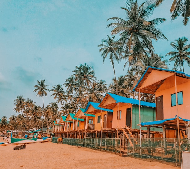 blue and brown wooden houses near palm trees under blue sky during daytime