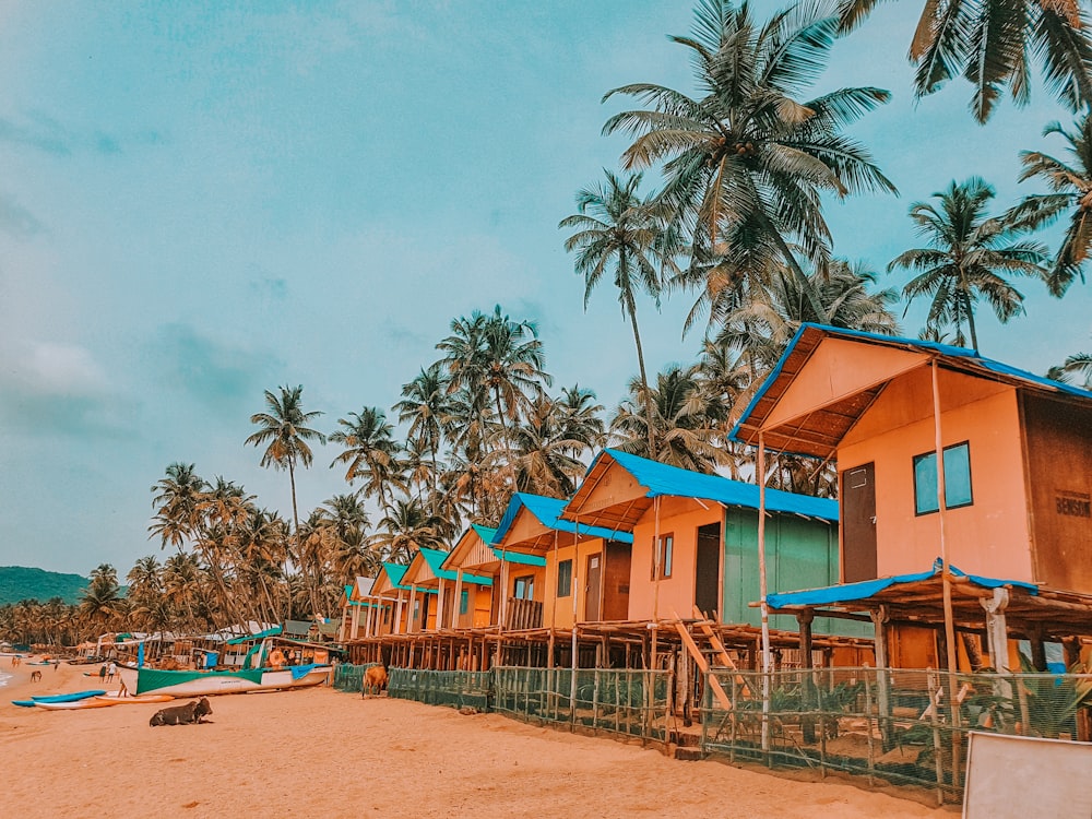 blue and brown wooden houses near palm trees under blue sky during daytime