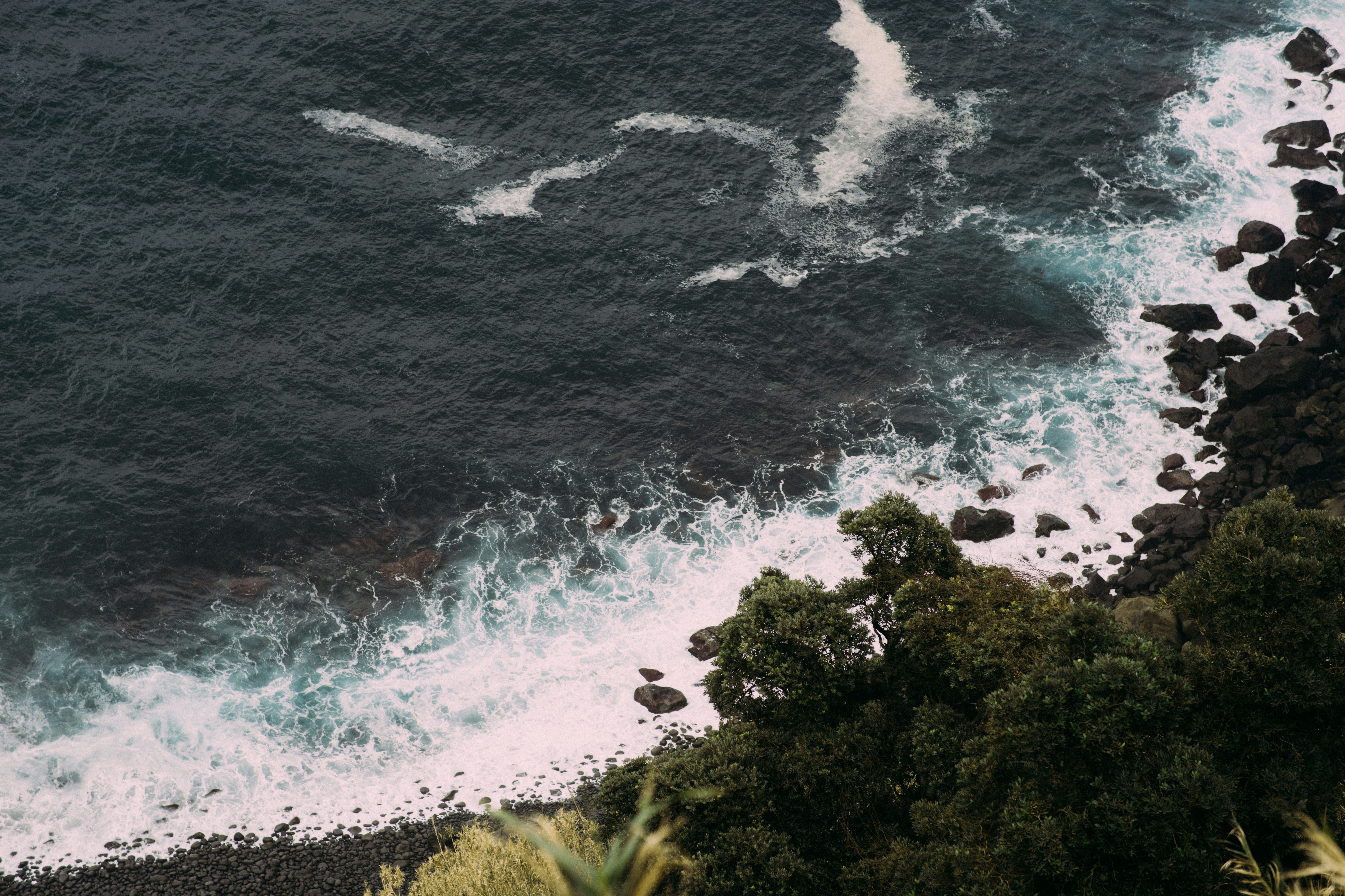 Photo by dariya_susak