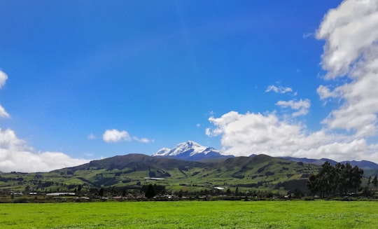 green grass field near mountain under blue sky during daytime in Cayambe Ecuador
