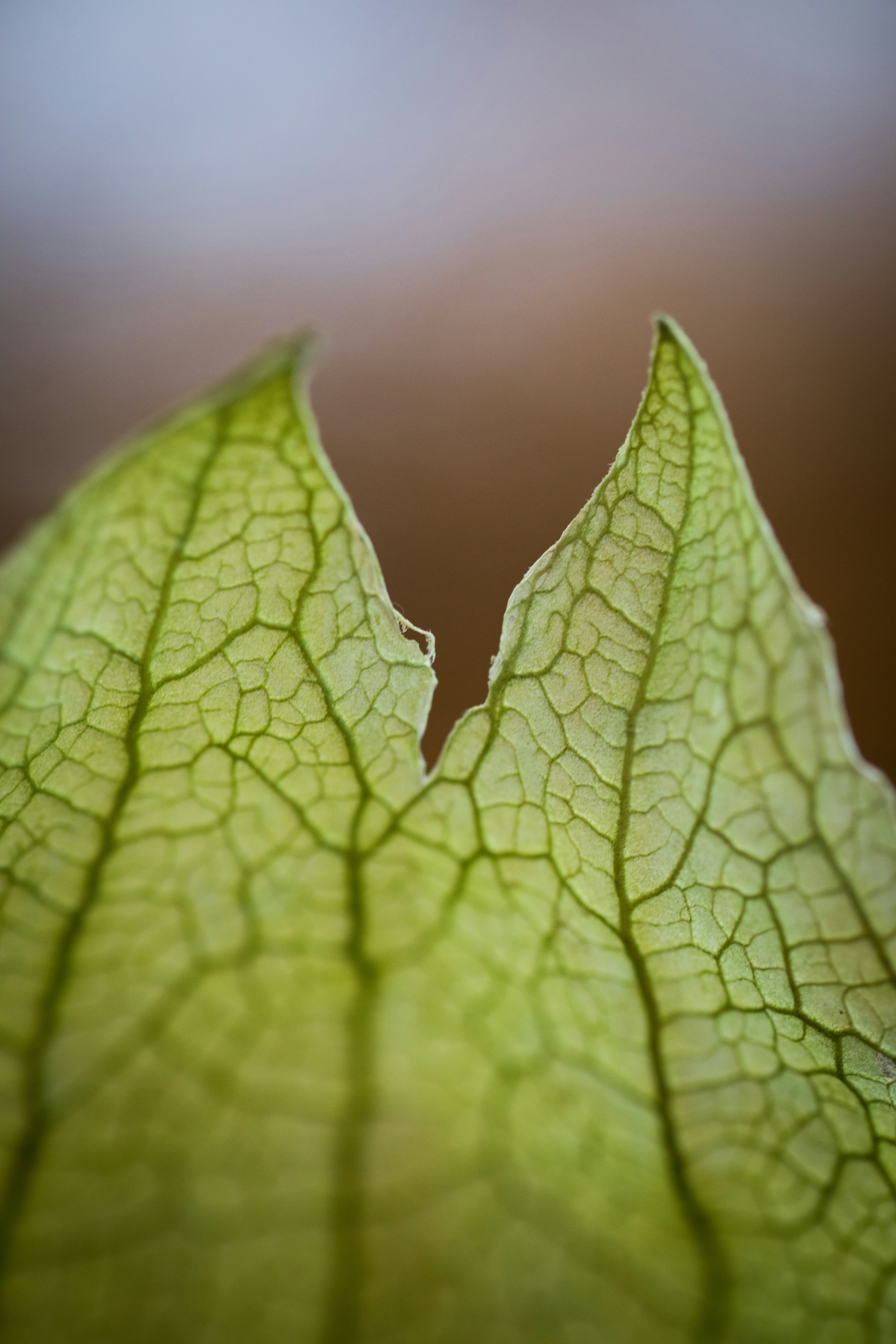 Photo by heathergill