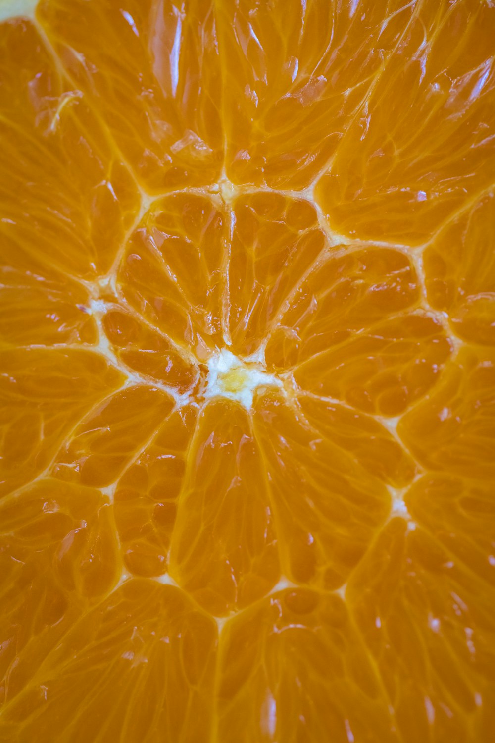 close up photo of orange fruit