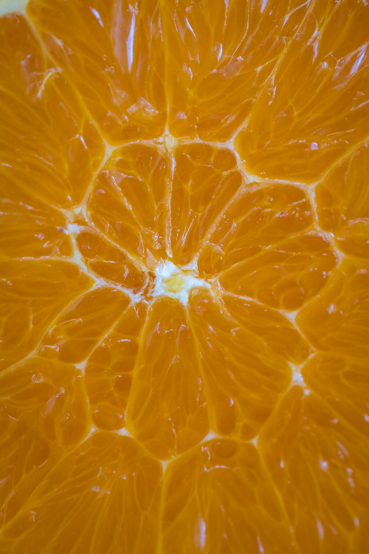Macro of a translucent orange citrus slice — Heather Gill on Unsplash