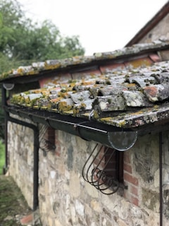 Old stone building with a weathered roof covered in moss and lichen. The structure features a mix of bricks and stones with a rustic appearance. Metal gutters and downspouts are attached to the roof.