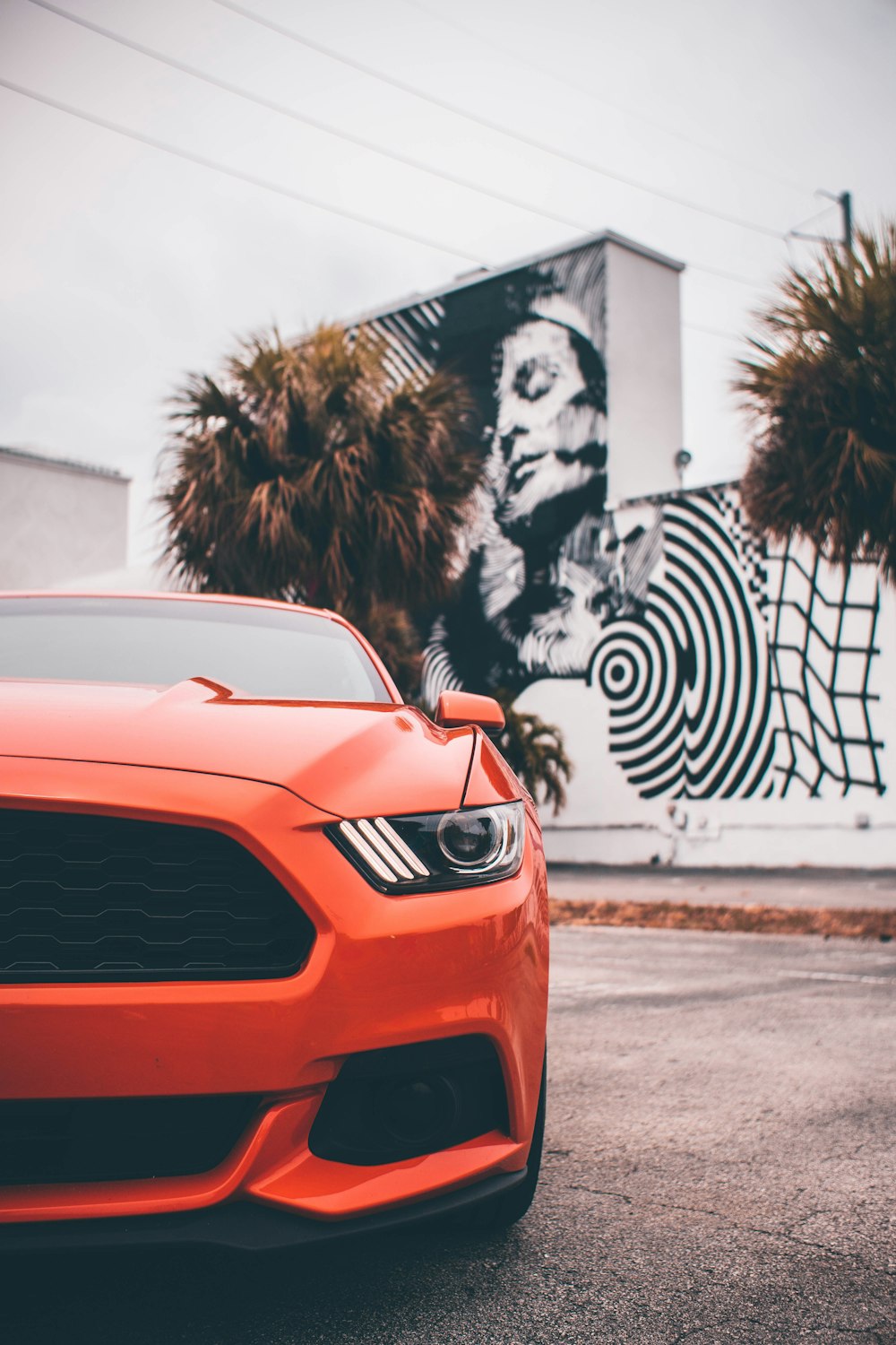 red bmw car parked near palm tree during daytime