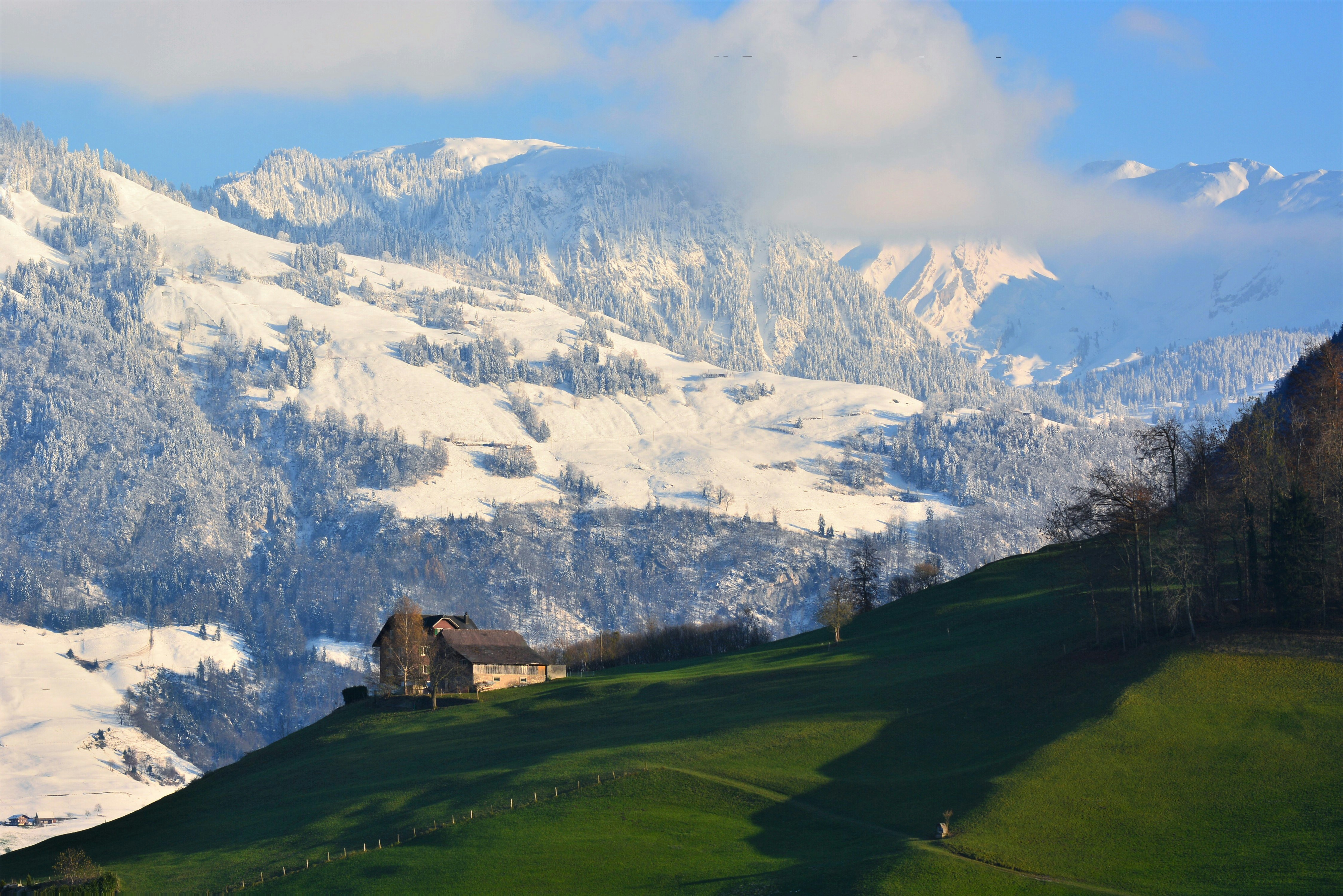 Photo by pedrino5_official