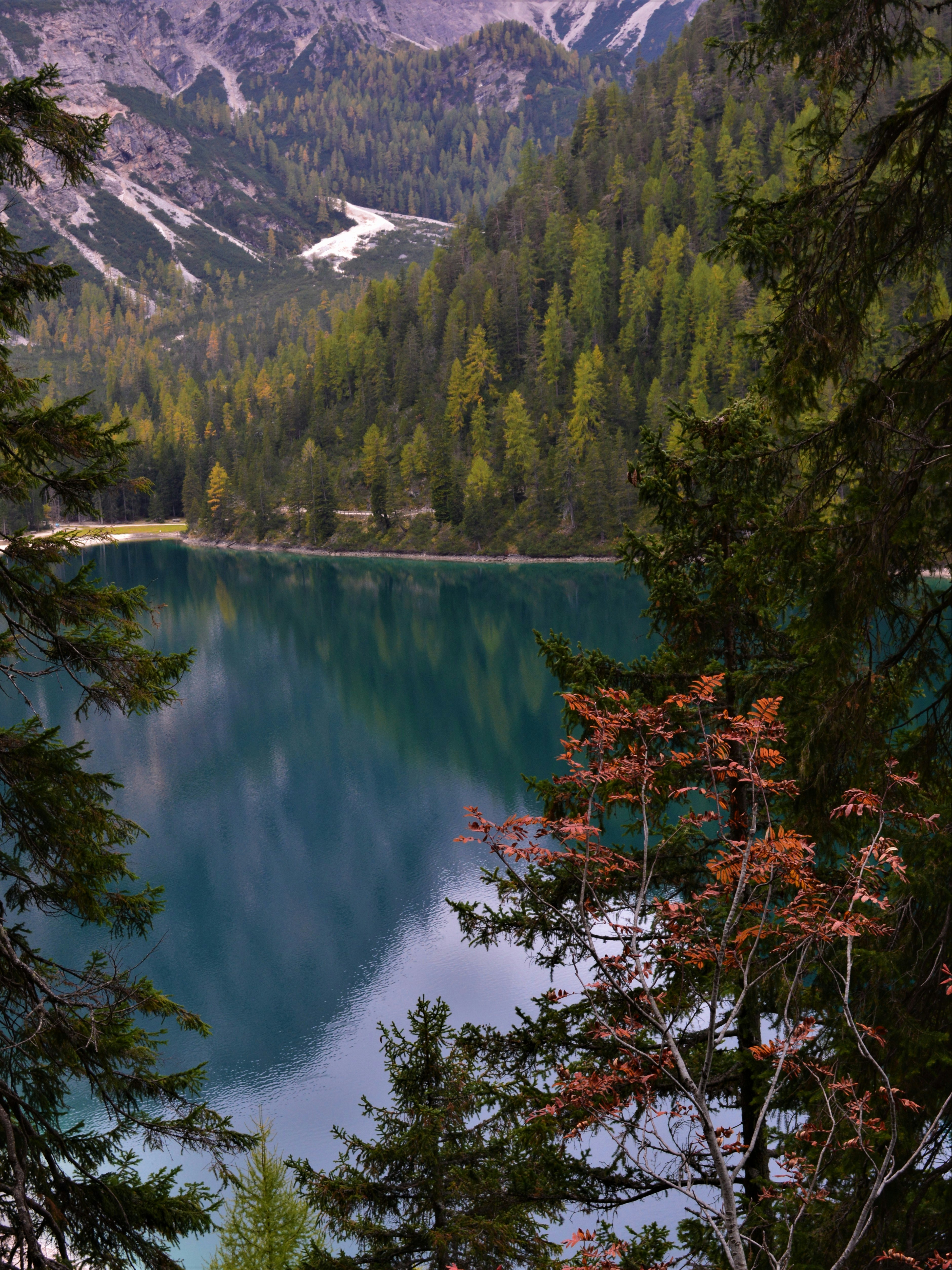 Photo by pedrino5_official