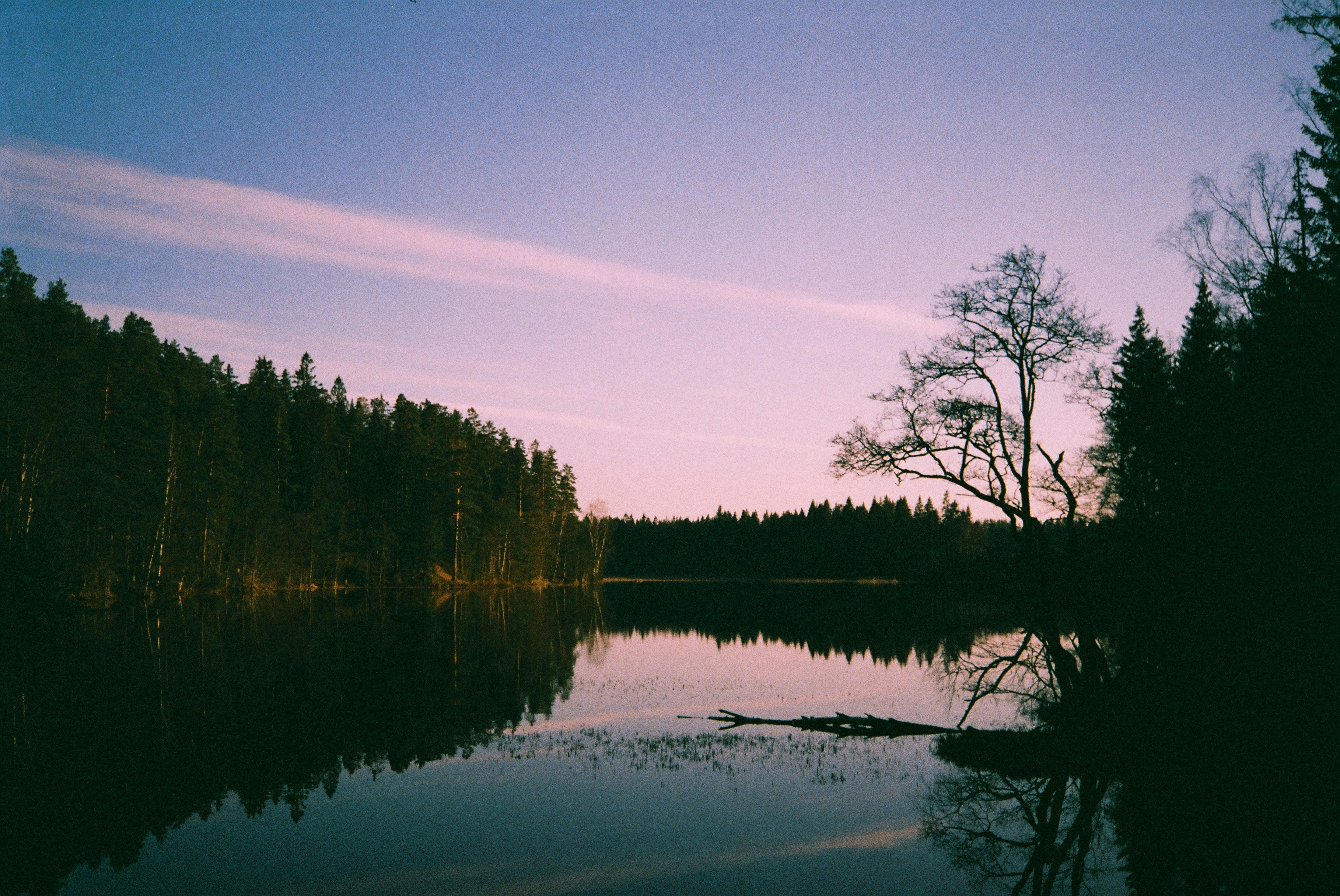 Photo by petterdahlberg