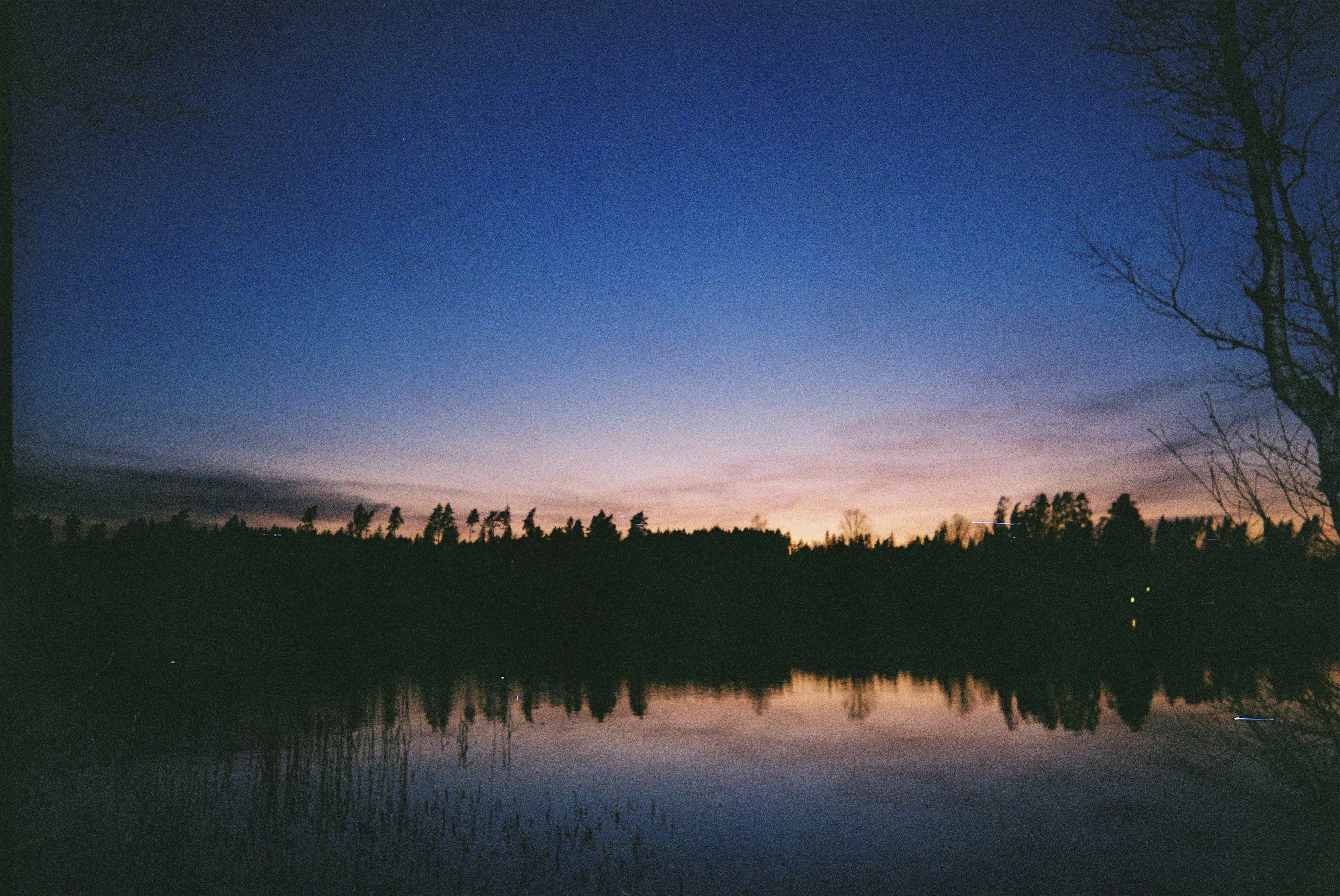 Photo by petterdahlberg