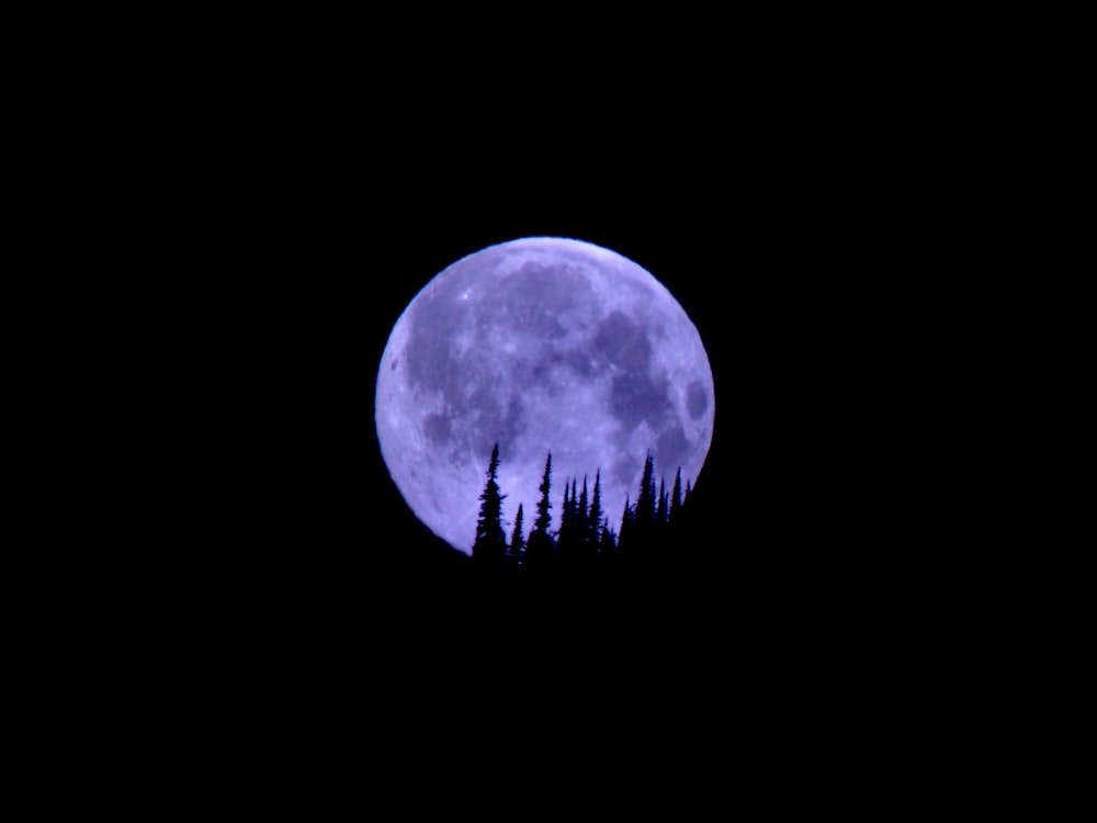 full moon over silhouette of trees