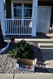 A cozy porch showcasing a sturdy mailbox, garden tools, and neatly arranged homeowner supplies.