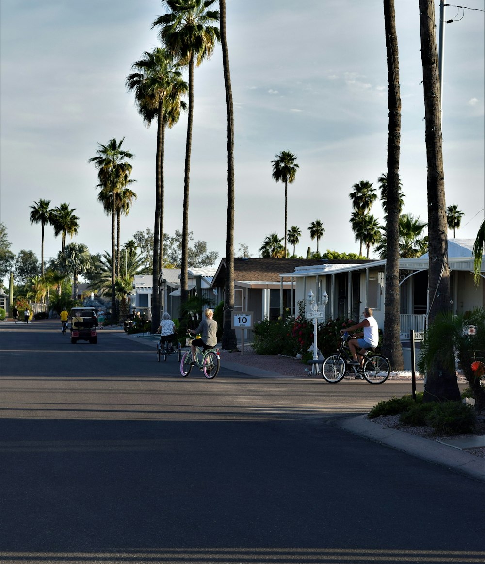 people riding bicycles on road near palm trees during daytime