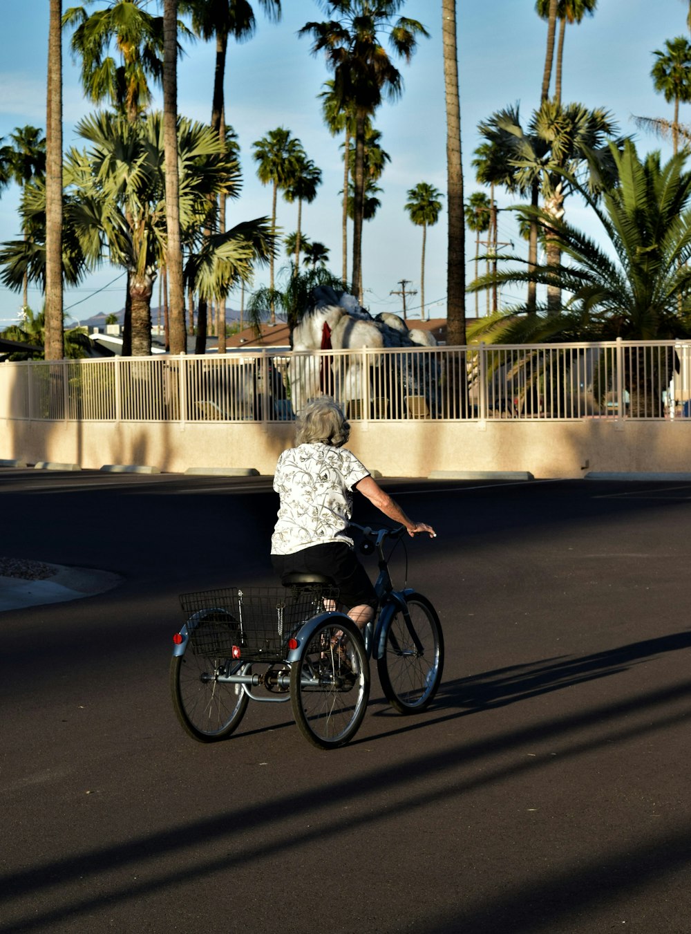 Mann und Frau, die tagsüber auf der Straße Fahrrad fahren