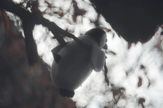 Charming fabric penguin sitting on a soft, textured background resembling Patagonian snow.