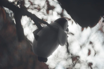 Charming fabric penguin sitting on a soft, textured background resembling Patagonian snow.