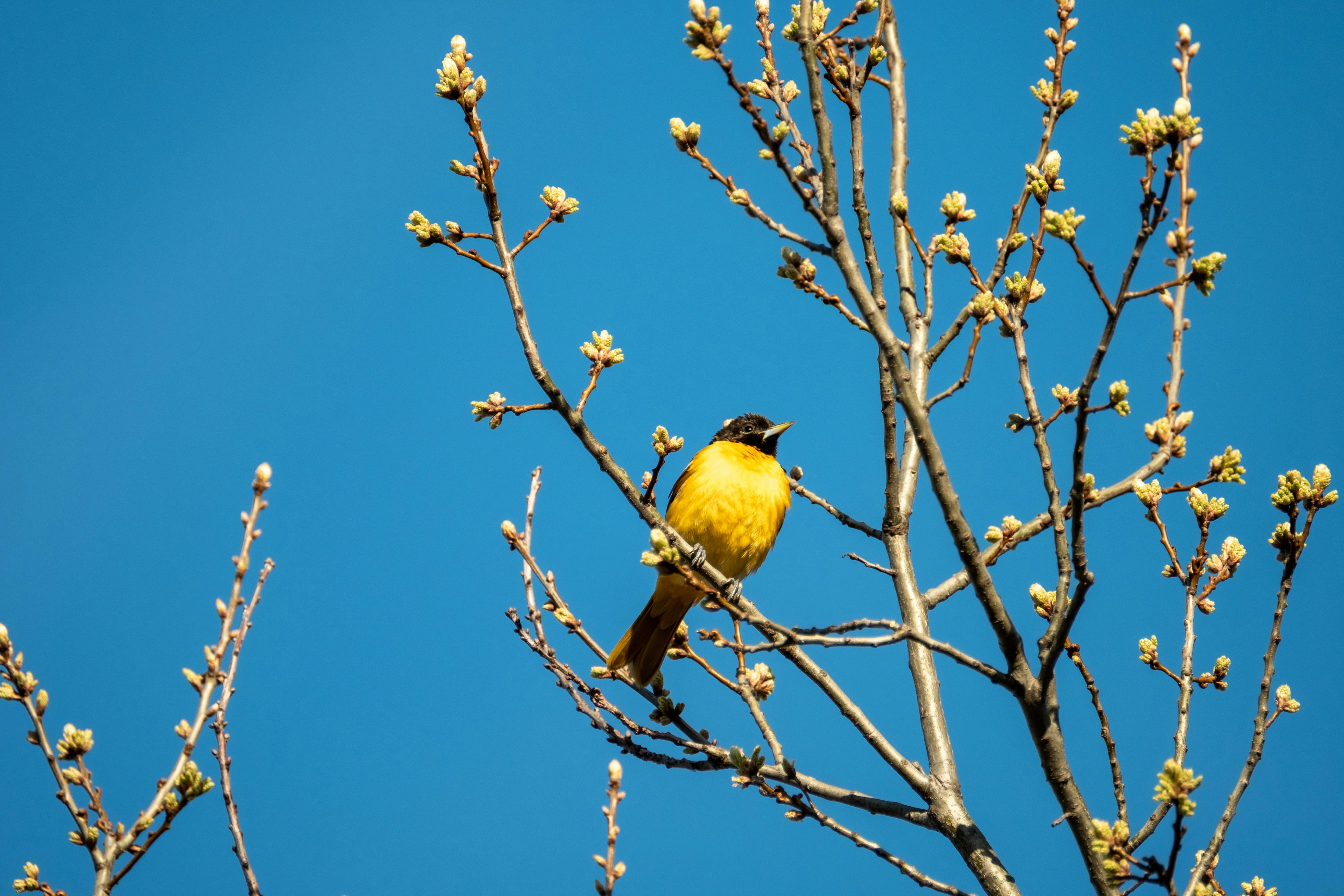 Photo by leilaboujnane