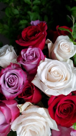 A vibrant bouquet of colorful roses arranged elegantly.