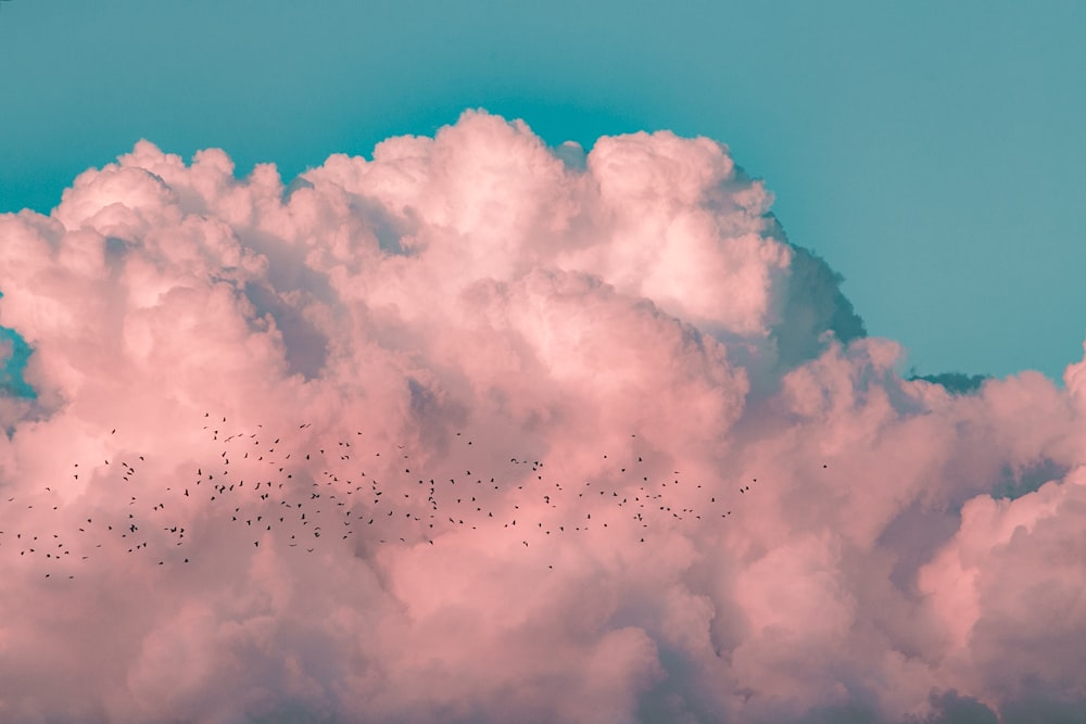 500+ Pink Cloud Pictures | Download Free Images on Unsplash