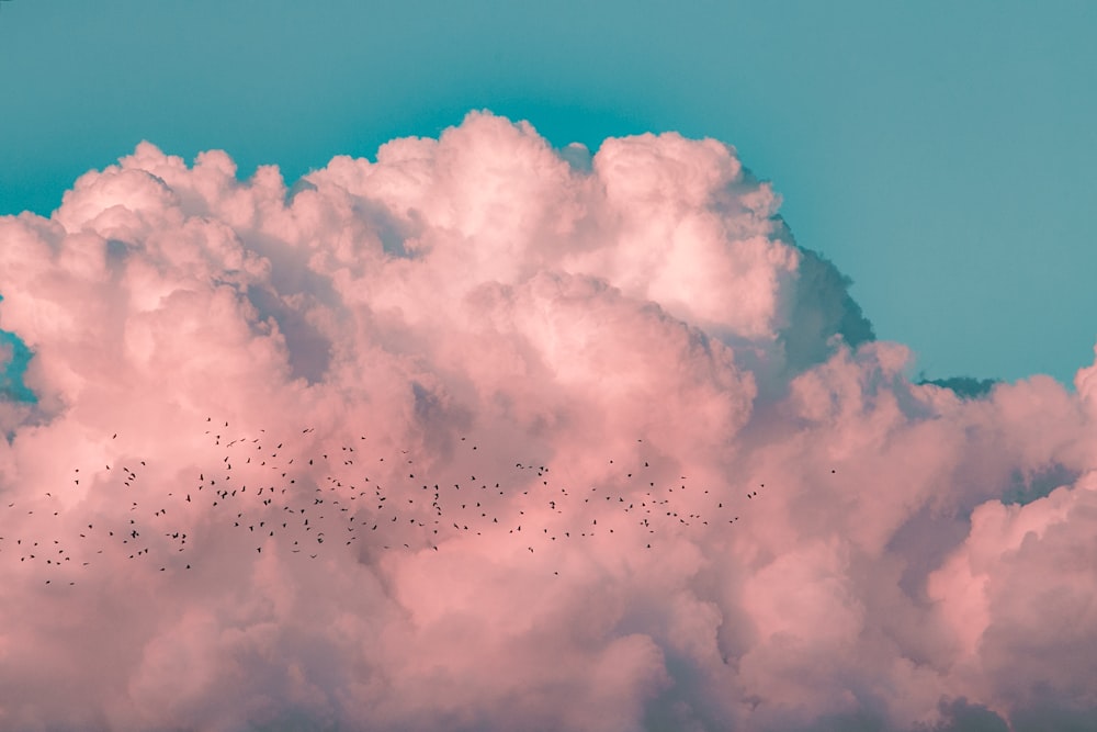 white clouds on blue sky during daytime