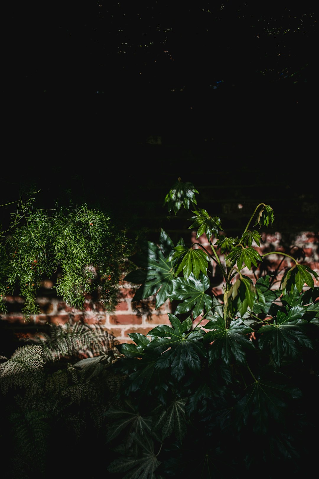 green plant near brown brick wall